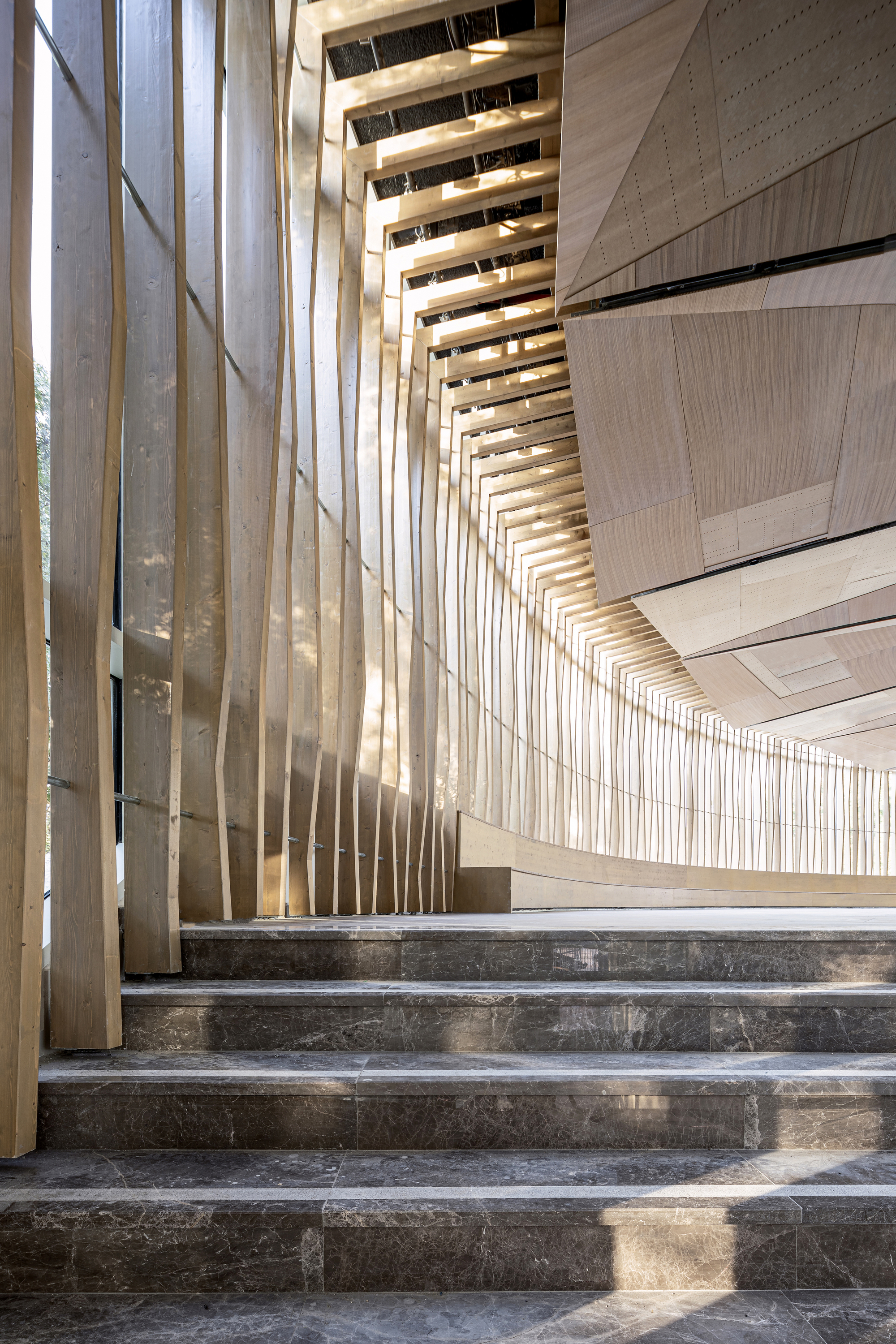 图片[4]|耶路撒冷植物园活动中心 / Matti Rosenshine Architects|ART-Arrakis | 建筑室内设计的创新与灵感