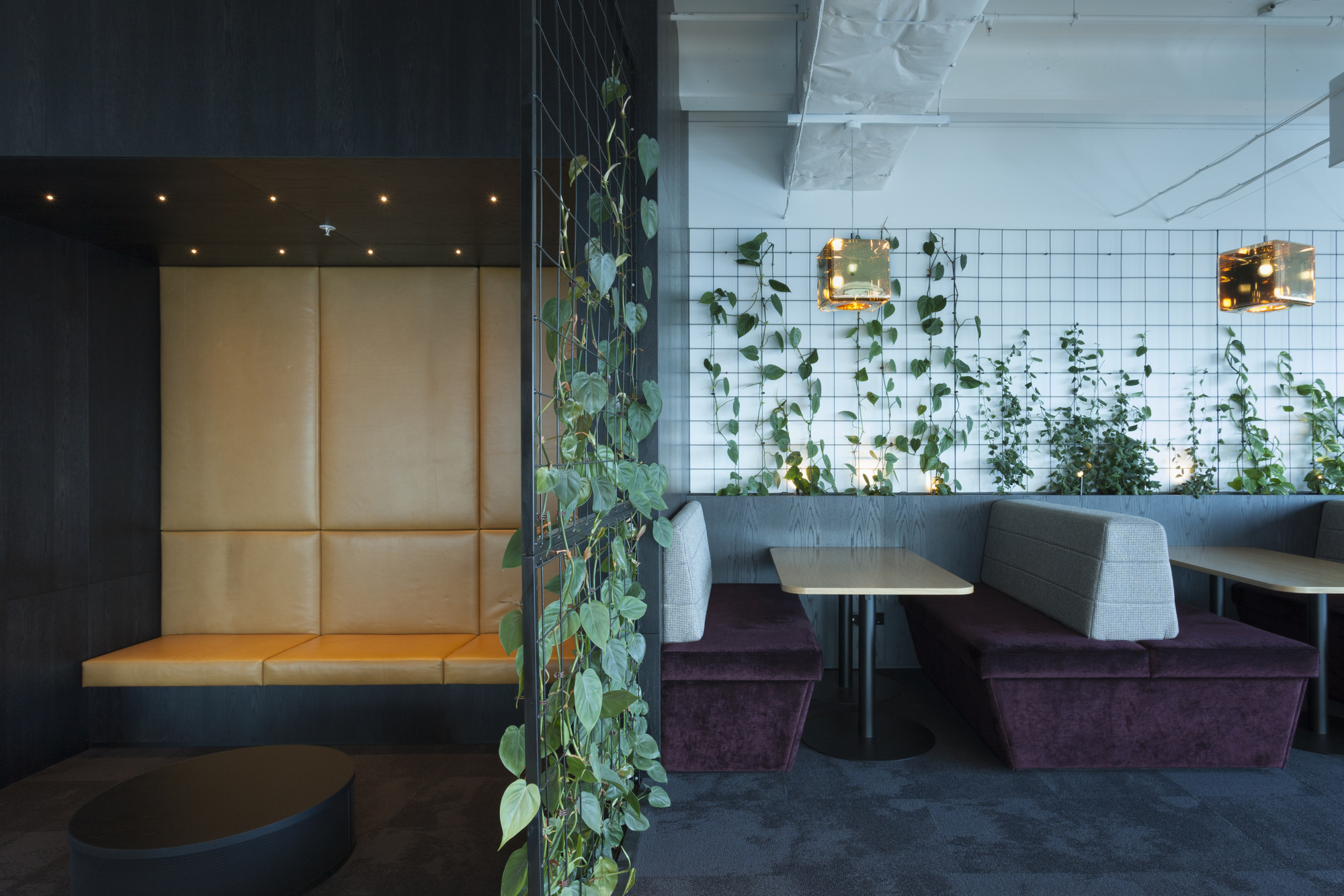 图片[5]|Shieff Angland办公室-奥克兰|ART-Arrakis | 建筑室内设计的创新与灵感