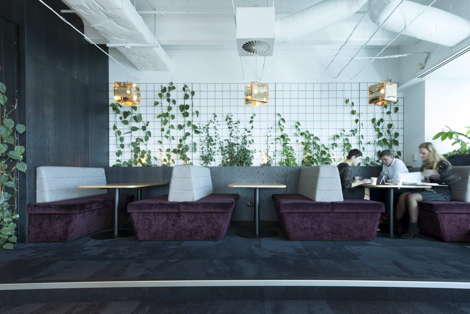 图片[6]|Shieff Angland办公室-奥克兰|ART-Arrakis | 建筑室内设计的创新与灵感