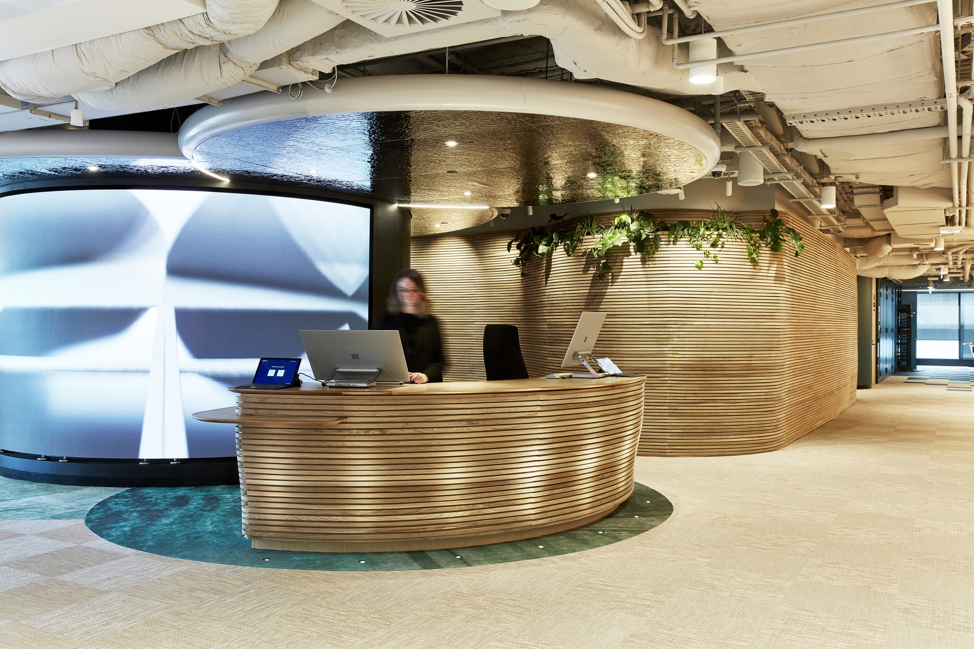 微软办公室——悉尼|ART-Arrakis | 建筑室内设计的创新与灵感
