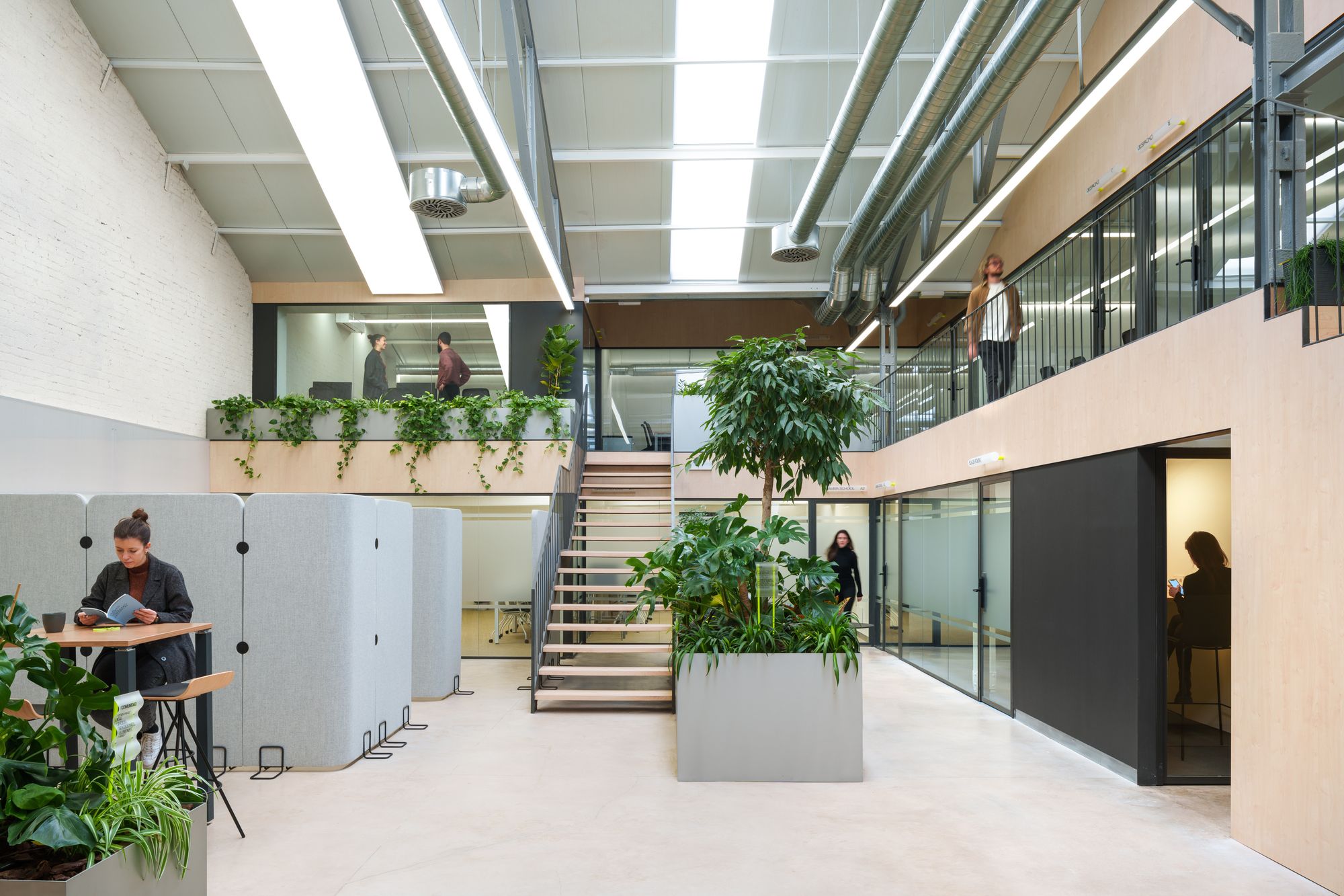 图片[3]|M25协同办公办公室——马德里|ART-Arrakis | 建筑室内设计的创新与灵感