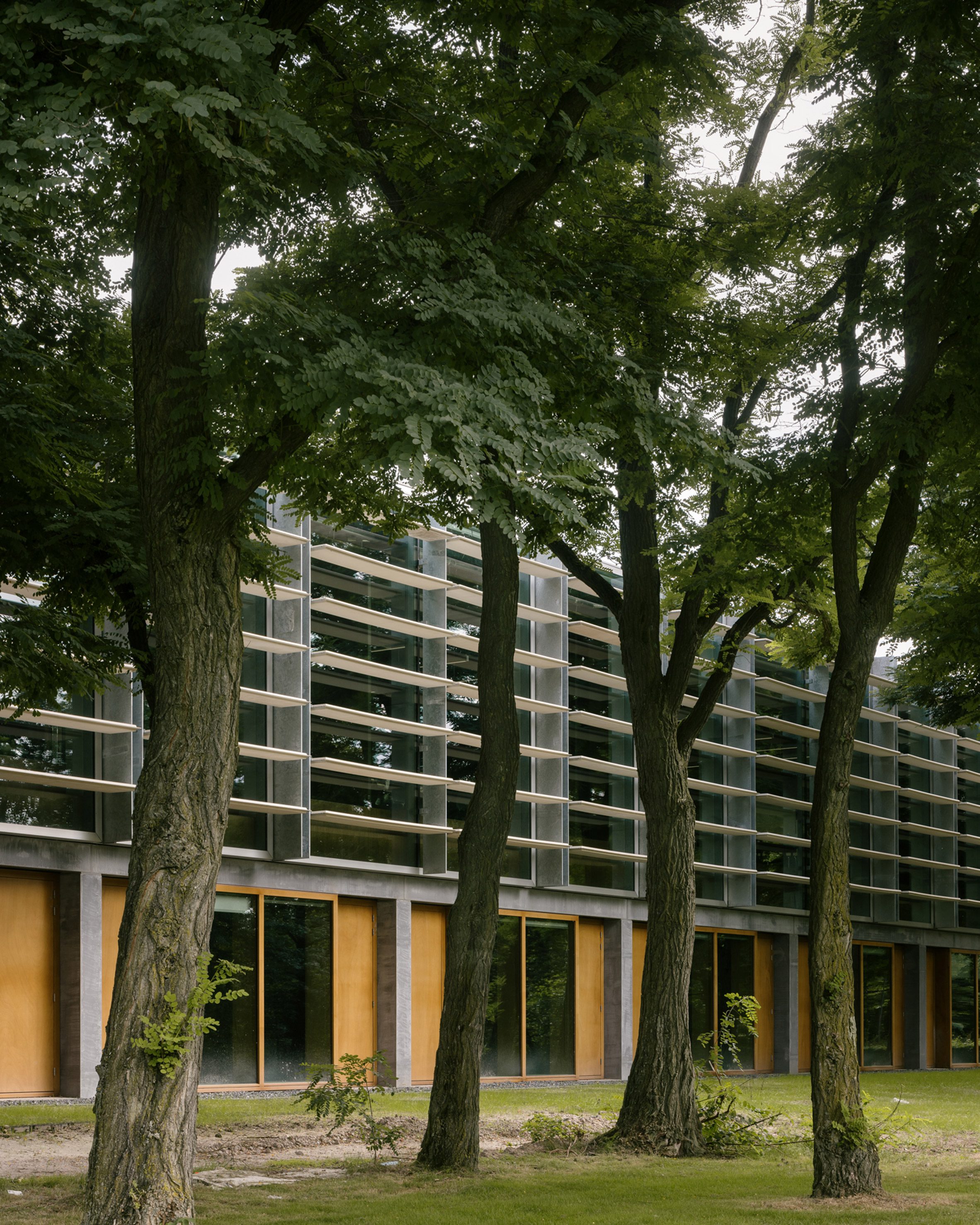 Civic Architects和VDNDP为荷兰大学的改造“拥抱不完美”|ART-Arrakis | 建筑室内设计的创新与灵感
