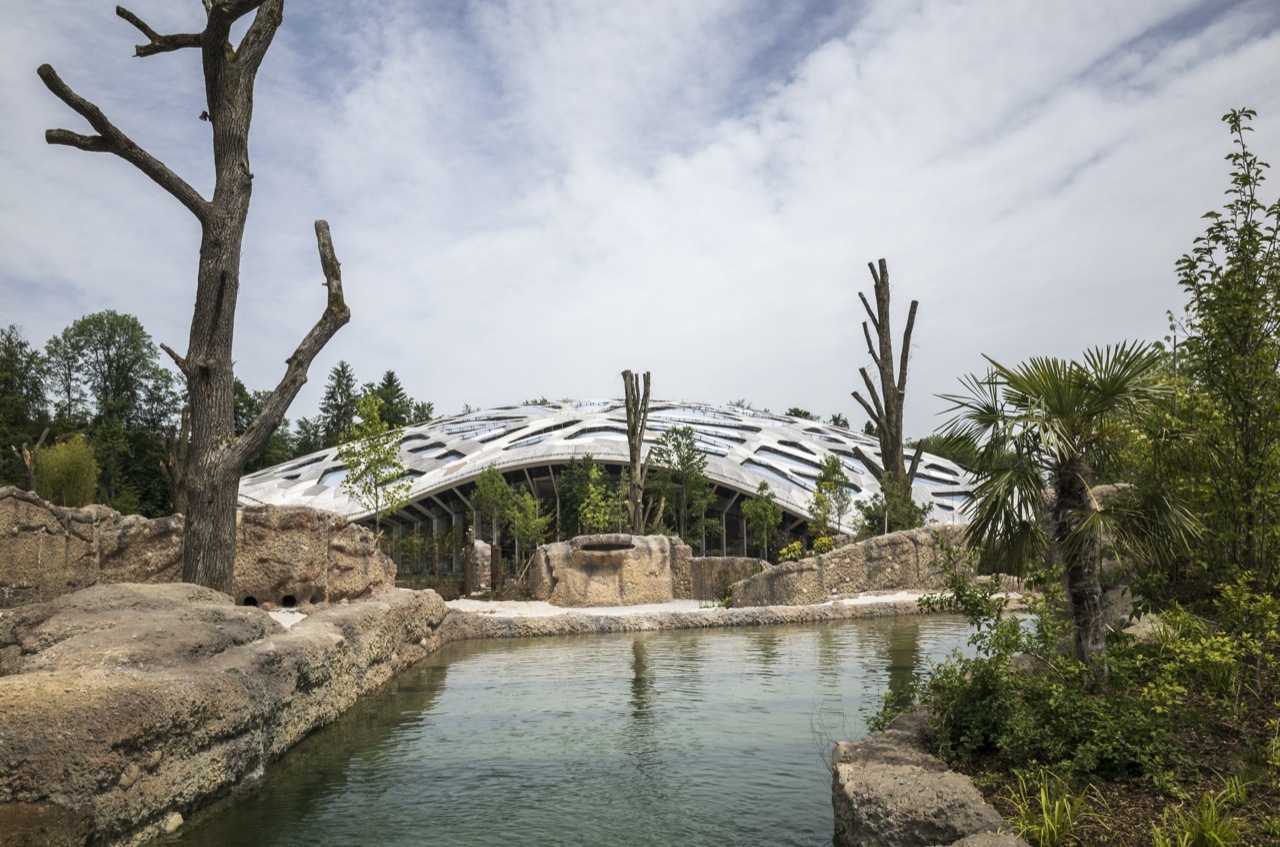 苏黎世动物园新象舍 / Markus Schietsch Architekten|ART-Arrakis | 建筑室内设计的创新与灵感
