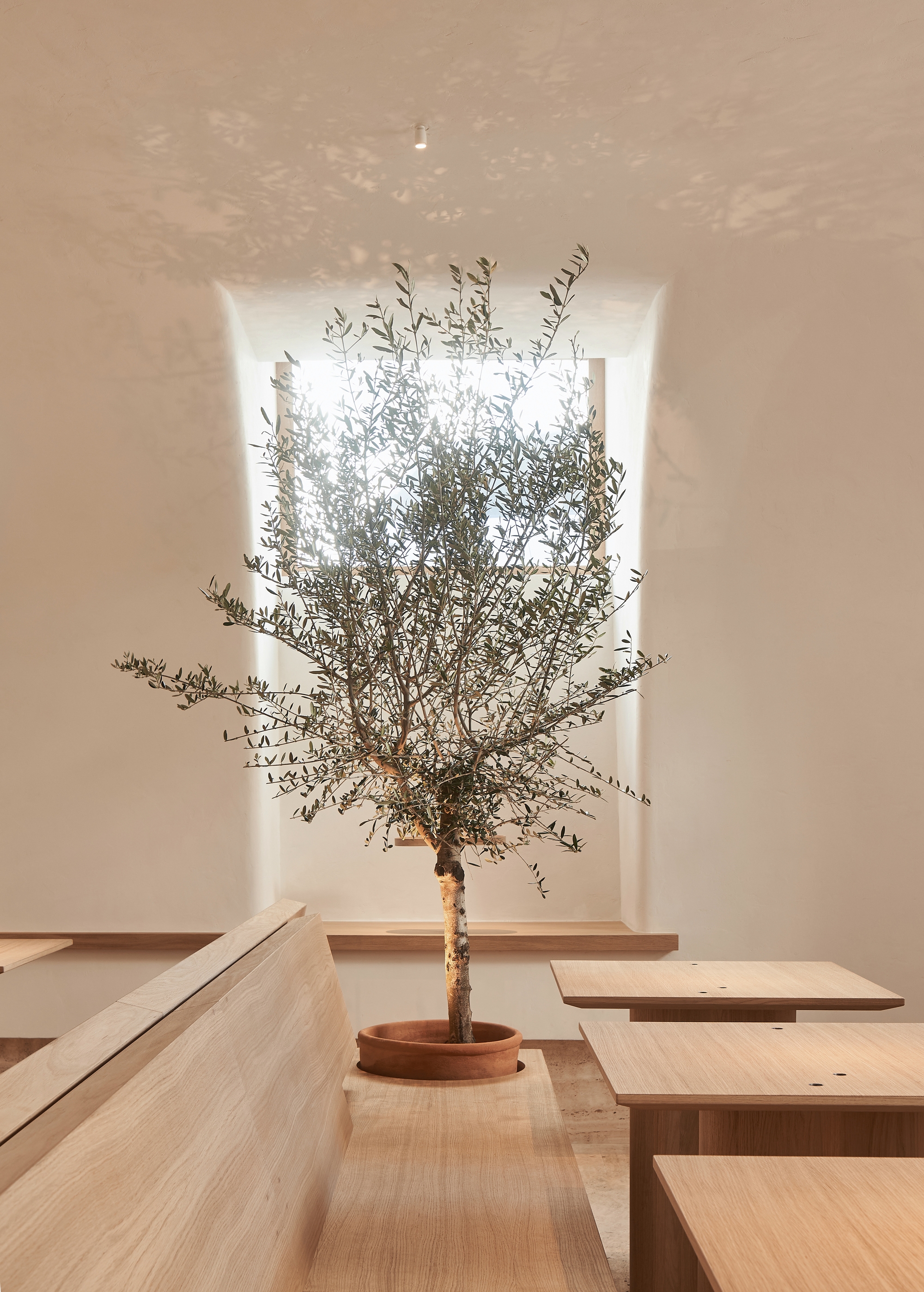 图片[3]|Osteria Betulla餐厅|ART-Arrakis | 建筑室内设计的创新与灵感