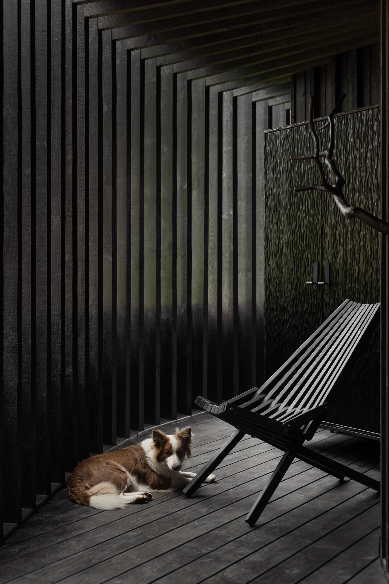 图片[5]|Ziedlejas 康养度假村的羊毛桑拿屋 / OPEN AD|ART-Arrakis | 建筑室内设计的创新与灵感