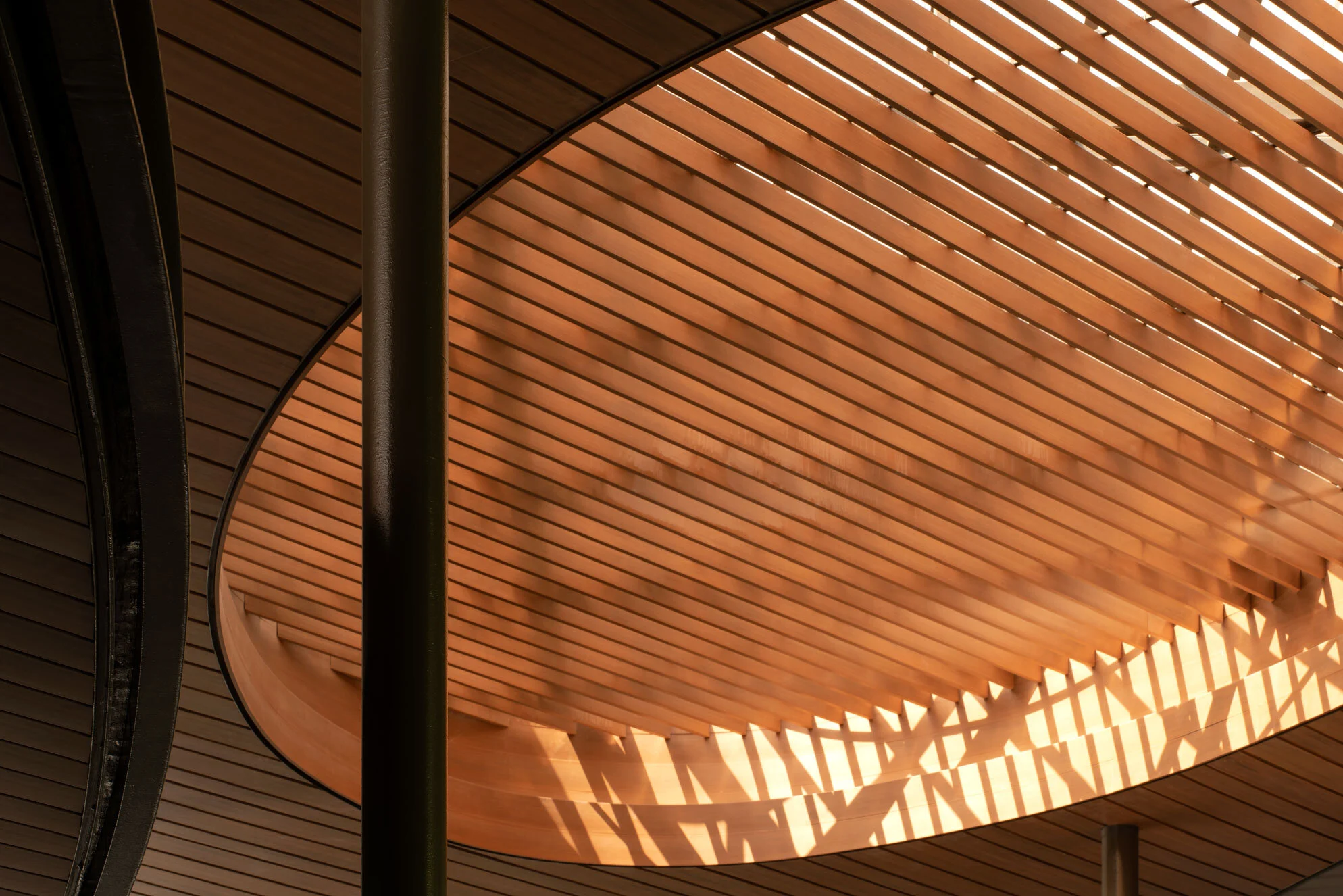 图片[3]|新浩村庄VELAA，长波浪屋顶 / Architects 49|ART-Arrakis | 建筑室内设计的创新与灵感