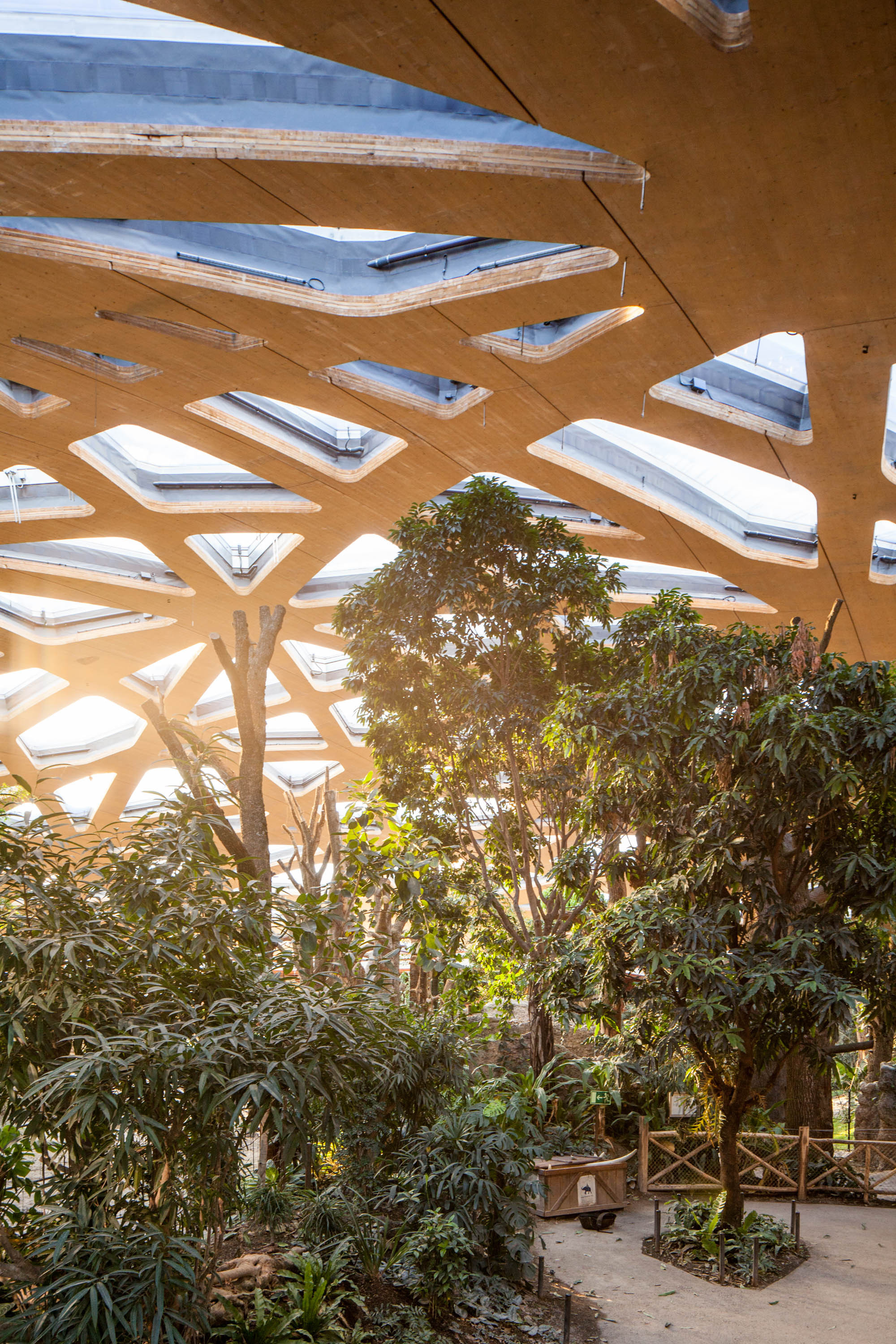 图片[2]|苏黎世动物园新象舍 / Markus Schietsch Architekten|ART-Arrakis | 建筑室内设计的创新与灵感