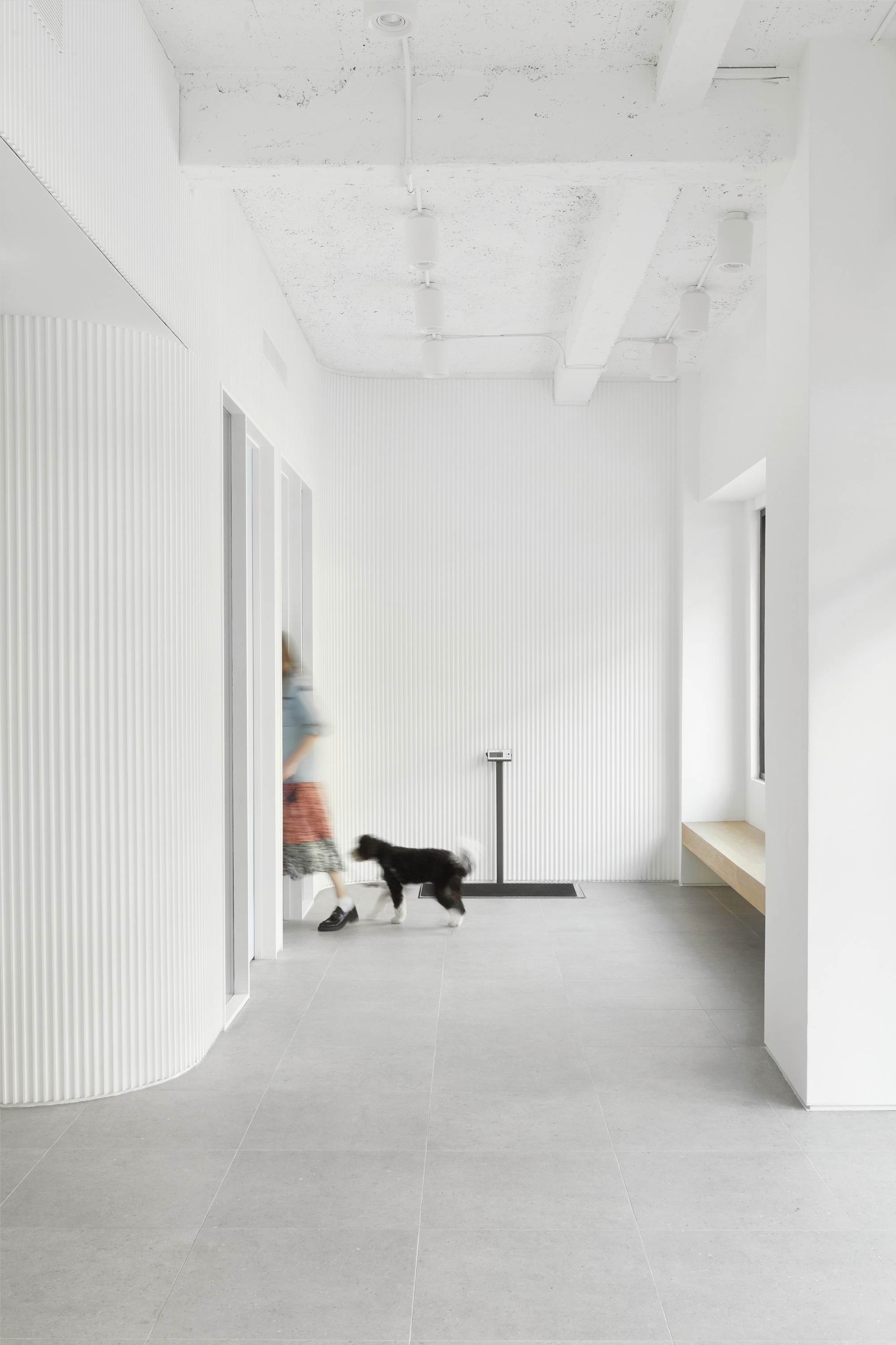 图片[3]|Brilliant Veterinary Care 室内设计 / Group Projects Architecture|ART-Arrakis | 建筑室内设计的创新与灵感