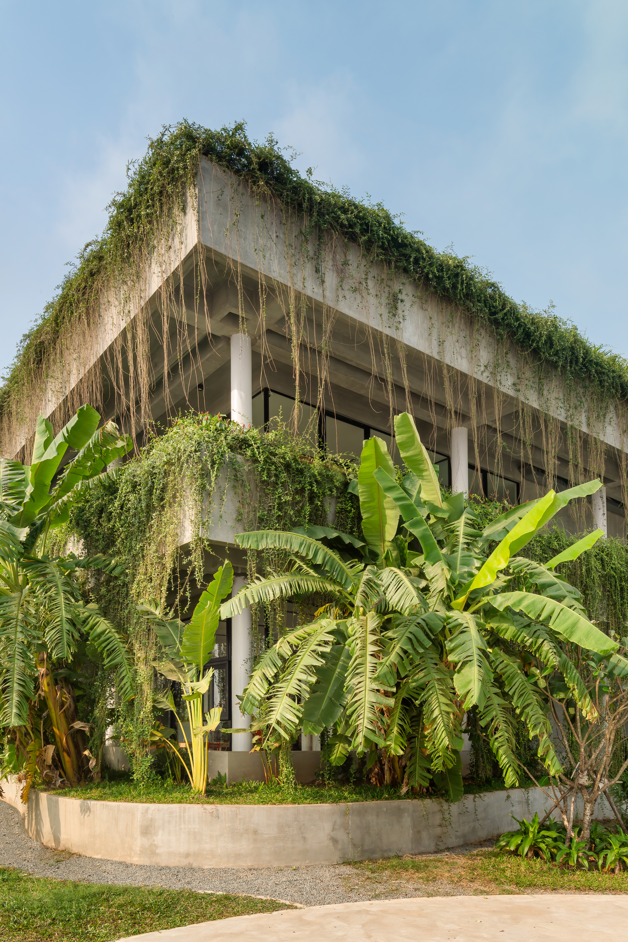 图片[5]|椰子俱乐部 & 柬埔寨公园 / T3 ARCHITECTS|ART-Arrakis | 建筑室内设计的创新与灵感
