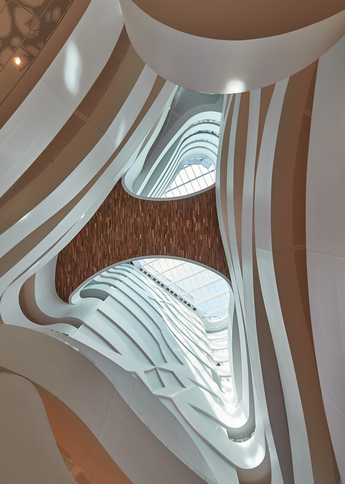 图片[7]|维多利亚综合癌症中心（VCCC）|ART-Arrakis | 建筑室内设计的创新与灵感