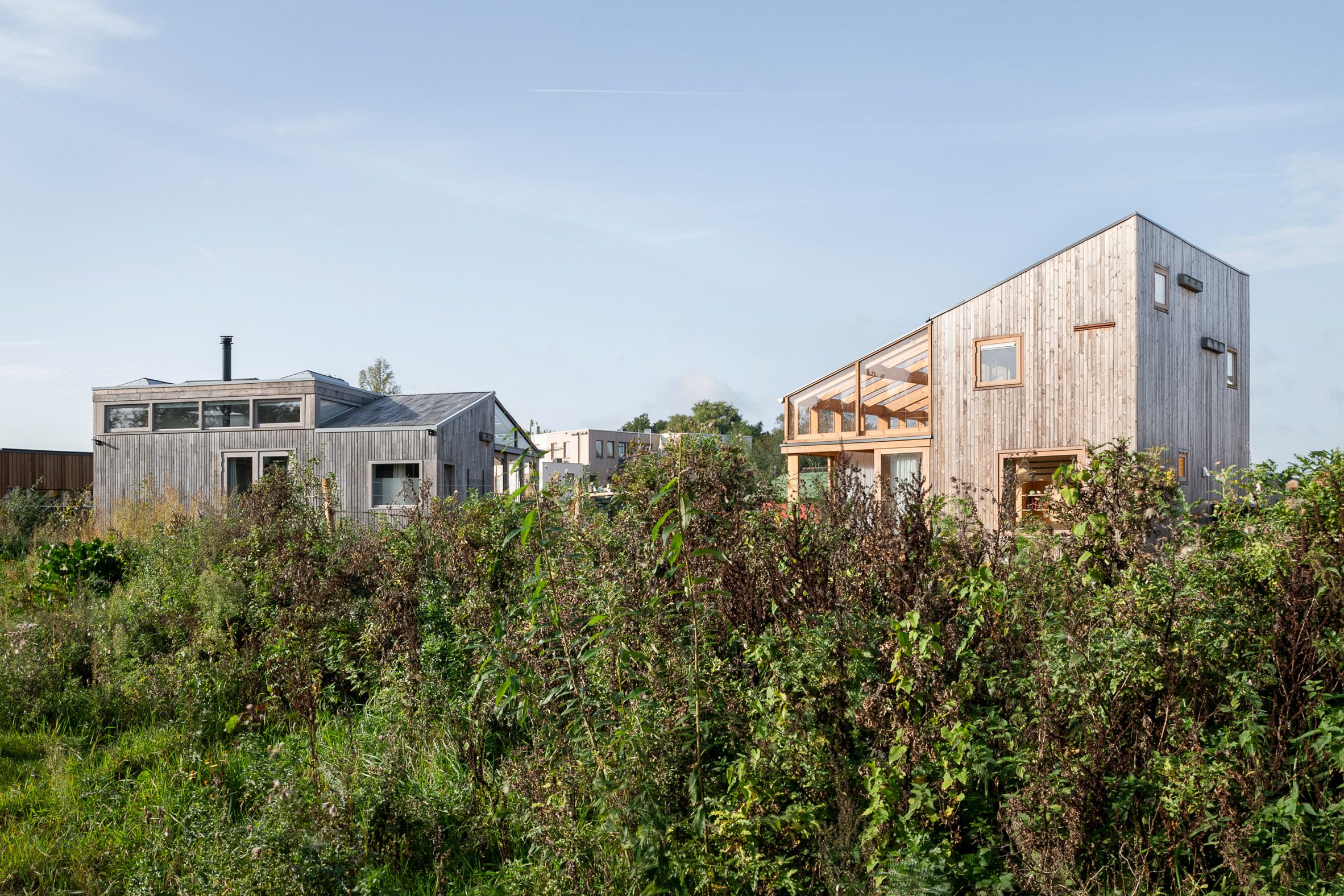 木材结构定义了荷兰紧凑型生物住宅|ART-Arrakis | 建筑室内设计的创新与灵感