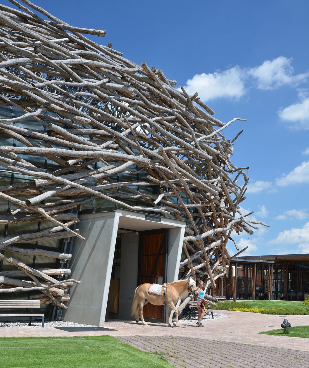 用树枝、树枝和松树包裹的七座巢状建筑|ART-Arrakis | 建筑室内设计的创新与灵感